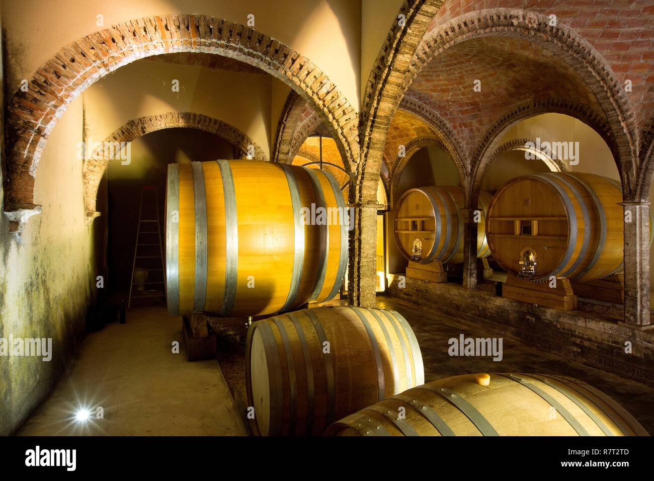 France, Var, Dracenie, Saint Antonin du Var, Castle Mentone Stock Photo