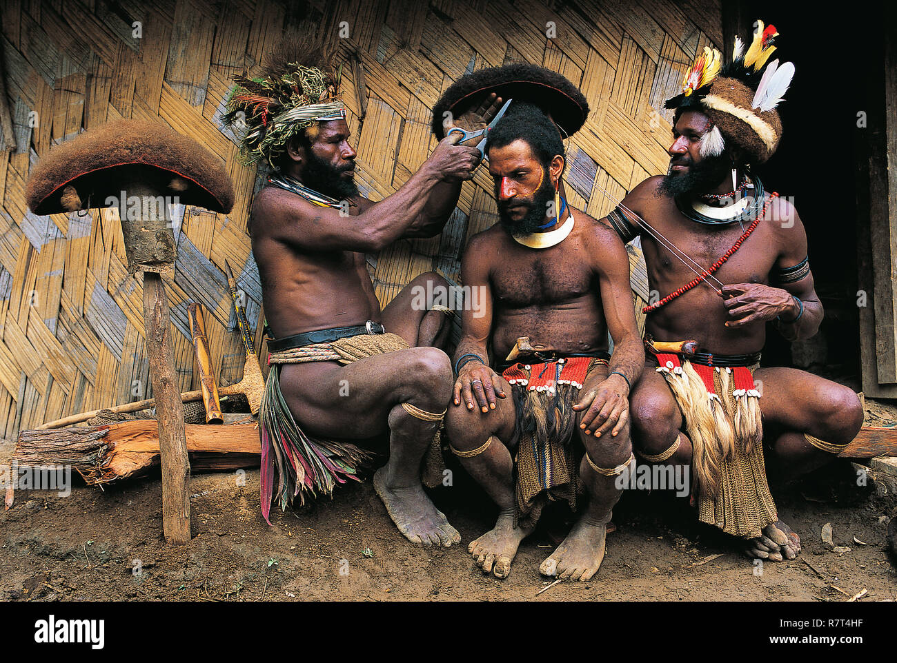 Papua New Guinea, Hela province, Huli tribe, Tari area, Kobe Tumbiali village, Manda Korara ritual (wigmen cutting) Stock Photo