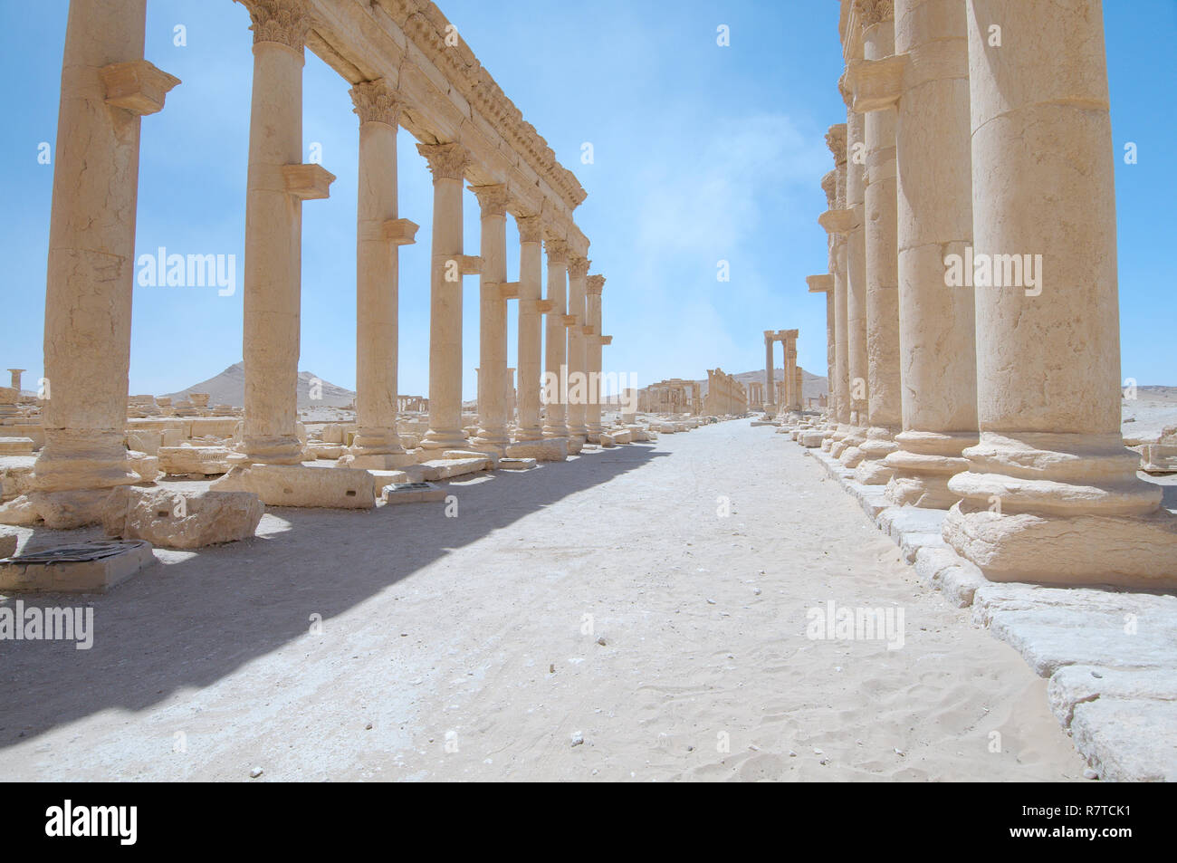 Ruins of the ancient city of Palmyra, Palmyra District, Homs Governorate, Syria Stock Photo