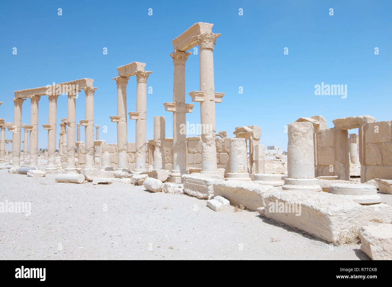 Ruins of the ancient city of Palmyra, Palmyra District, Homs Governorate, Syria Stock Photo