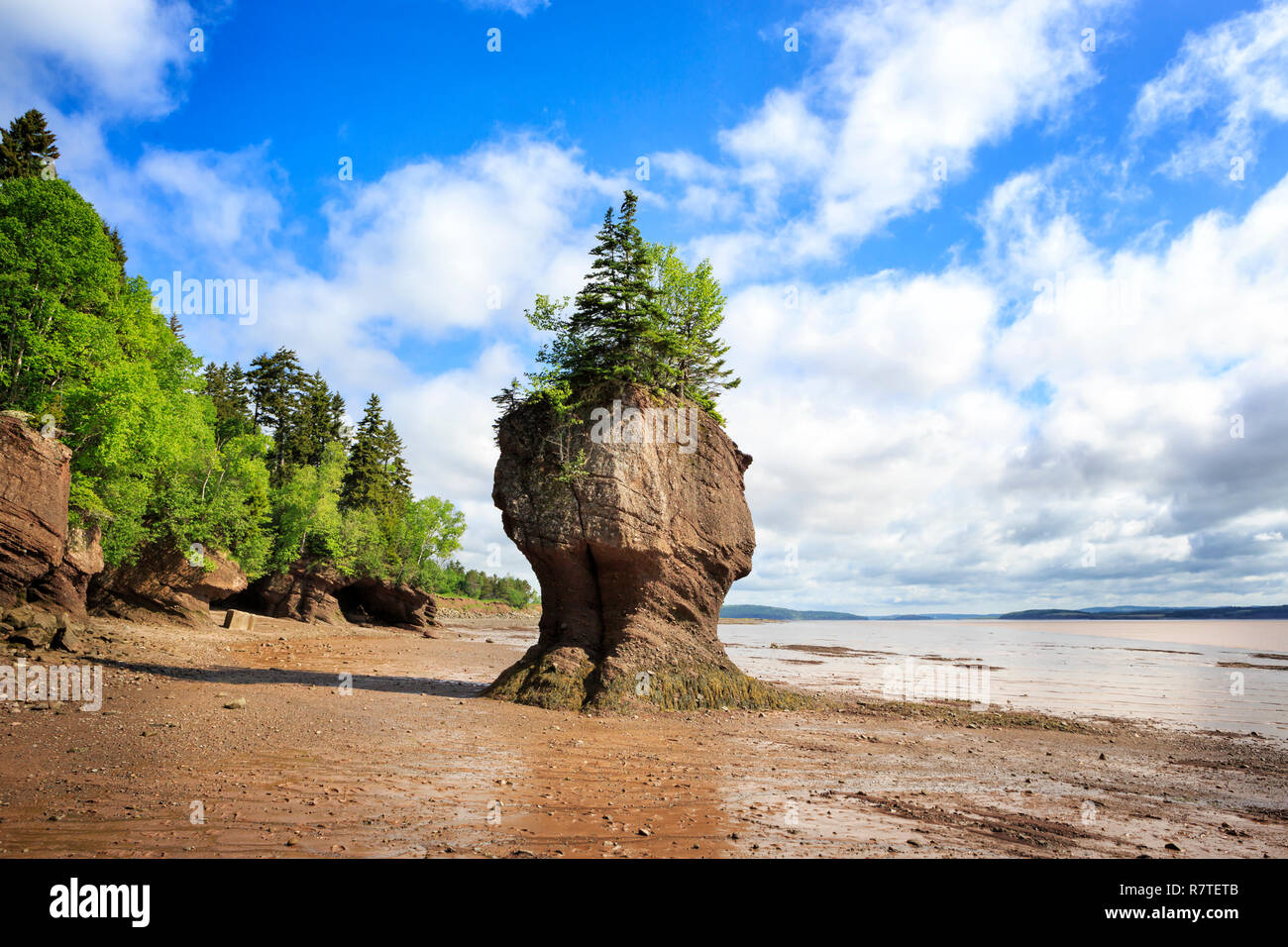 Hopewell rocks hi-res stock photography and images - Alamy