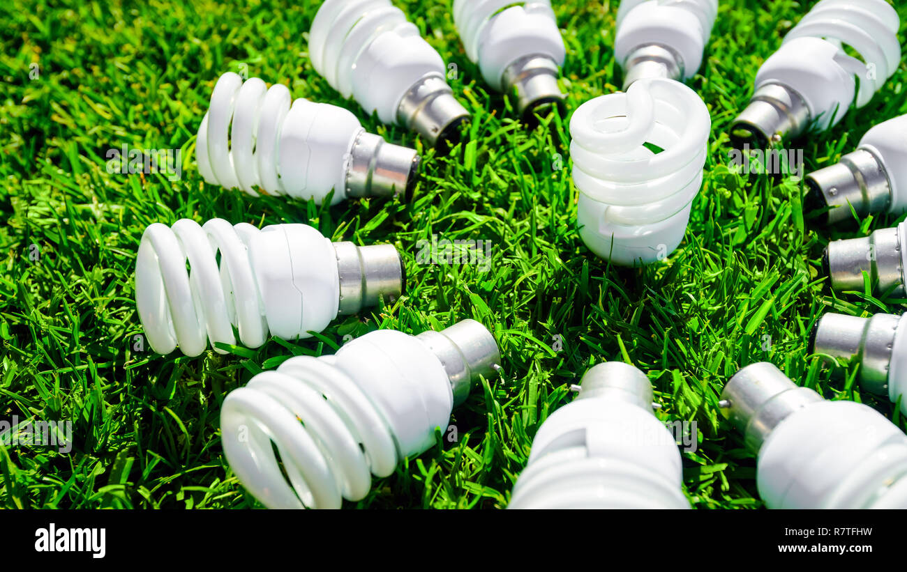 Energy saving light bulbs on grass forming flower. Green energy concept Stock Photo