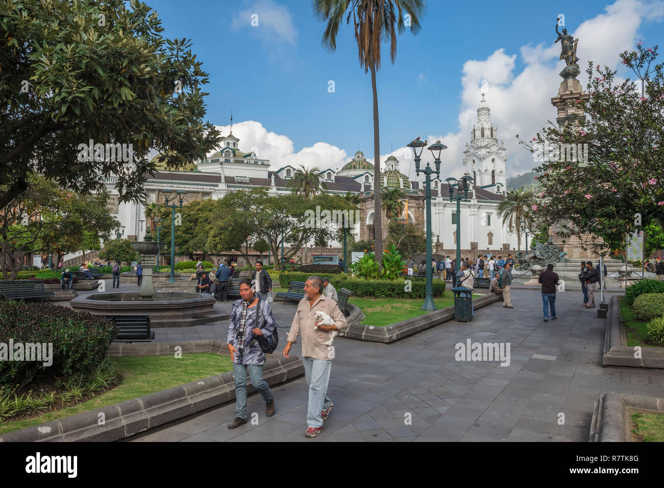 Independence square with the Metropolitan cathedral and the Memorial to the Heroes of the Independence, 1809, Quito Stock Photo