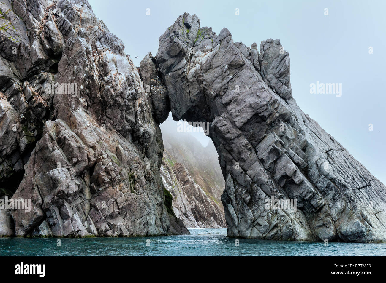 Cliffs, Herald Island, UNESCO World Heritage Site, Herald Island ...