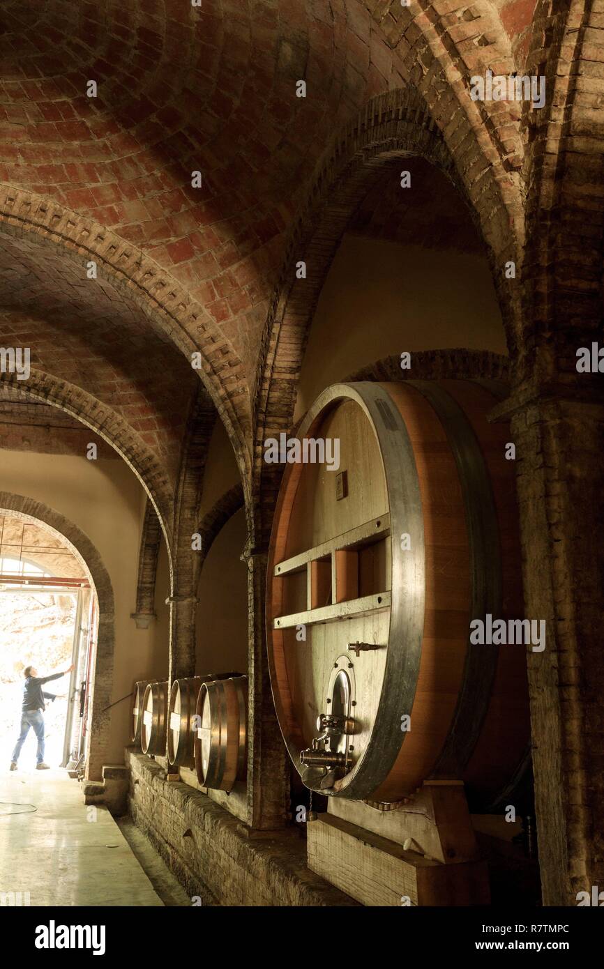 France, Var, Dracenie, Saint Antonin du Var, Castle Mentone Stock Photo