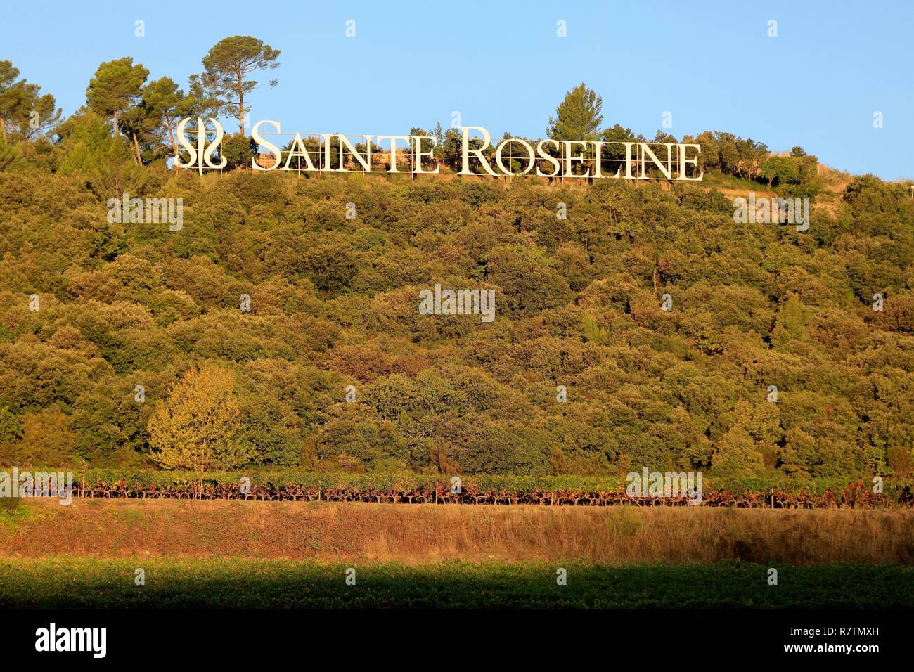 France, Var, Dracenie, Les Arcs sur Argens, Domaine Sainte Roseline