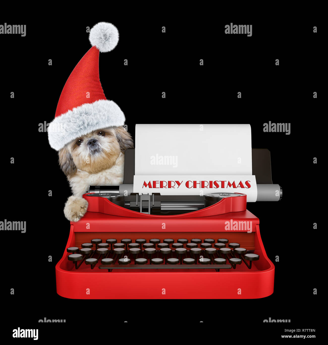Cute santa shitzu dog is typing on a typewriter keyboard. Isolated on black background Stock Photo