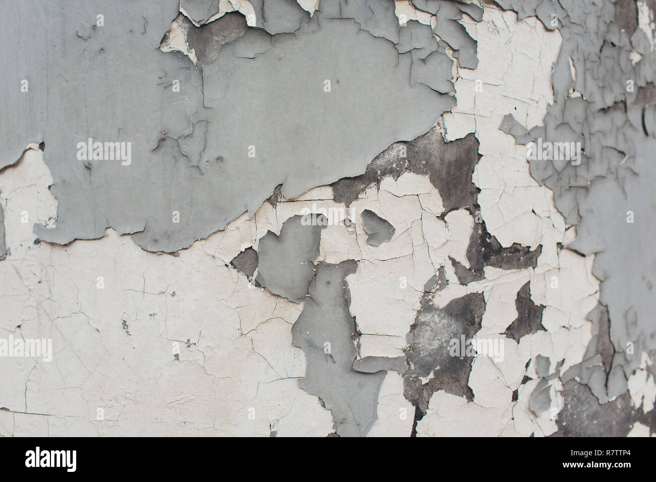 White Plastered Brick Wall Texture. Whitewash Brick Wall Seamless