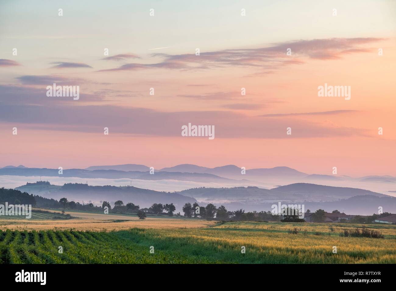 France, Haute Loire, Cayres, landscape of Deves plateau, sunset over Loire valley Stock Photo