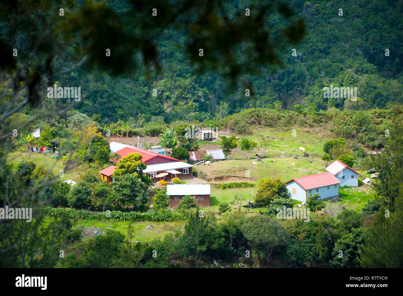 France, Reunion island, La Possession, the Aurere hamlet in the Mafate cirque, listed as World Heritage by UNESCO Stock Photo