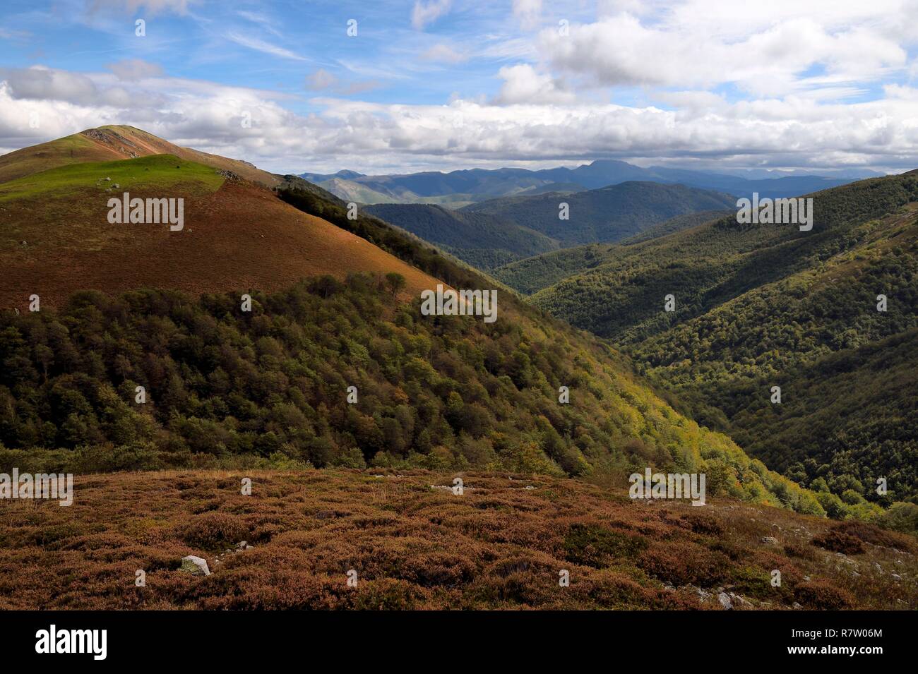 Spain, Basque Country, Navarra, Camino de Santiago (the Way of St. James) between Saint Jean Pied de Port and Roncesvalles, the Iraty forest in the valley, it is the largest beech forest in Europe Stock Photo