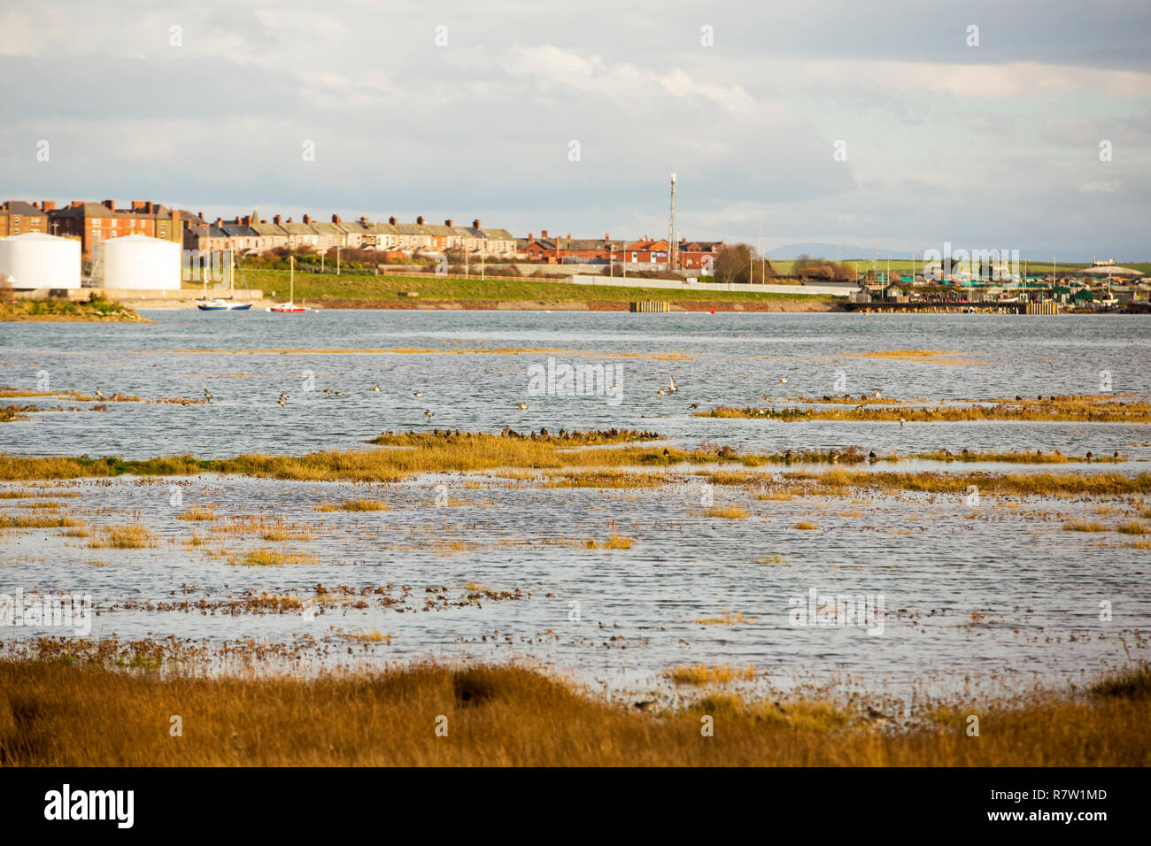 Houses on Walney Island that are vulnerable to storm surge flooding