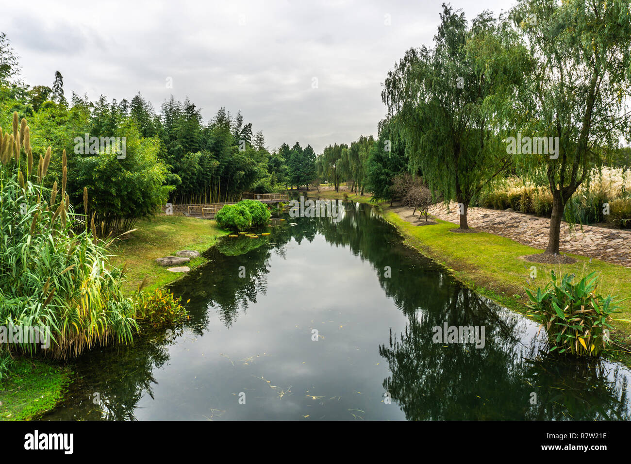 China Shanghai Botanical Garden with Green River Shore Trees and Water
