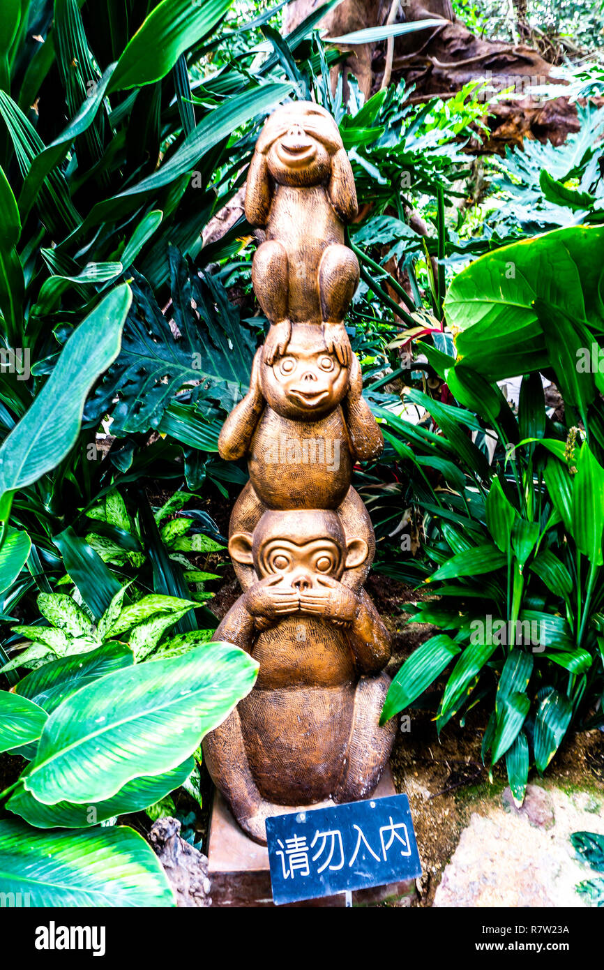 China Shanghai Botanical Garden Greenhouse Three Funny Wooden Monkey Sculptures. Translation