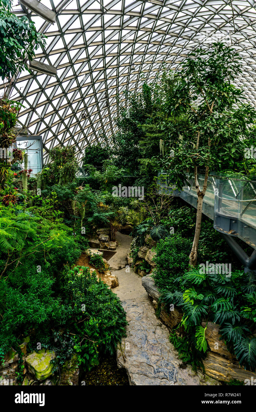 Humid subtropical climate hi-res stock photography and images - Alamy