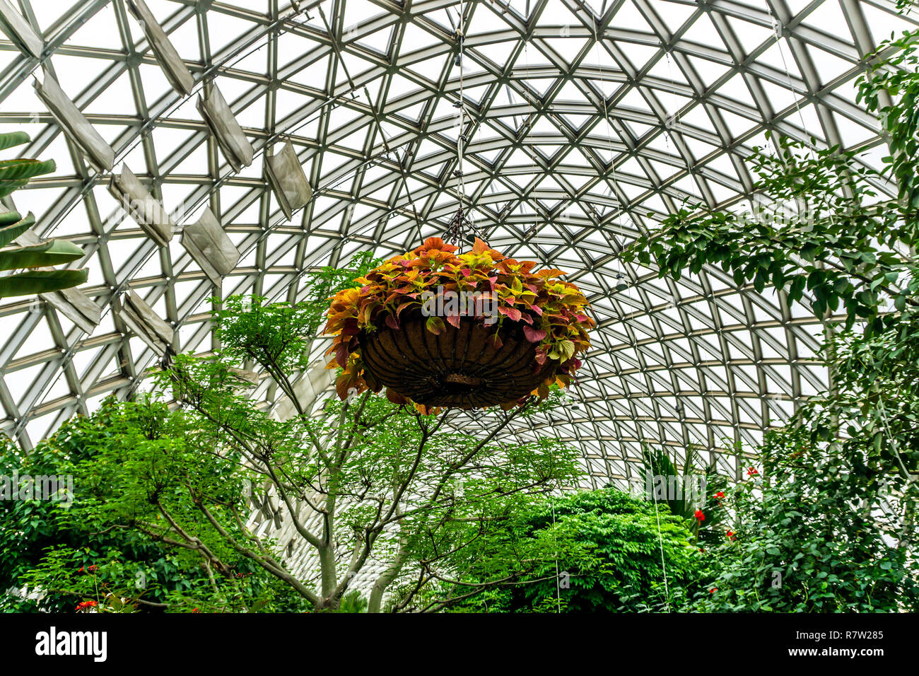 China Shanghai Botanical Garden Greenhouse Ceiling Hanging