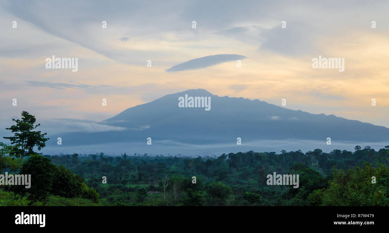 Scenic view of Mount Cameroon mountain with green forest during sunset, highest mountain in West Africa, Cameroon, Africa. Stock Photo