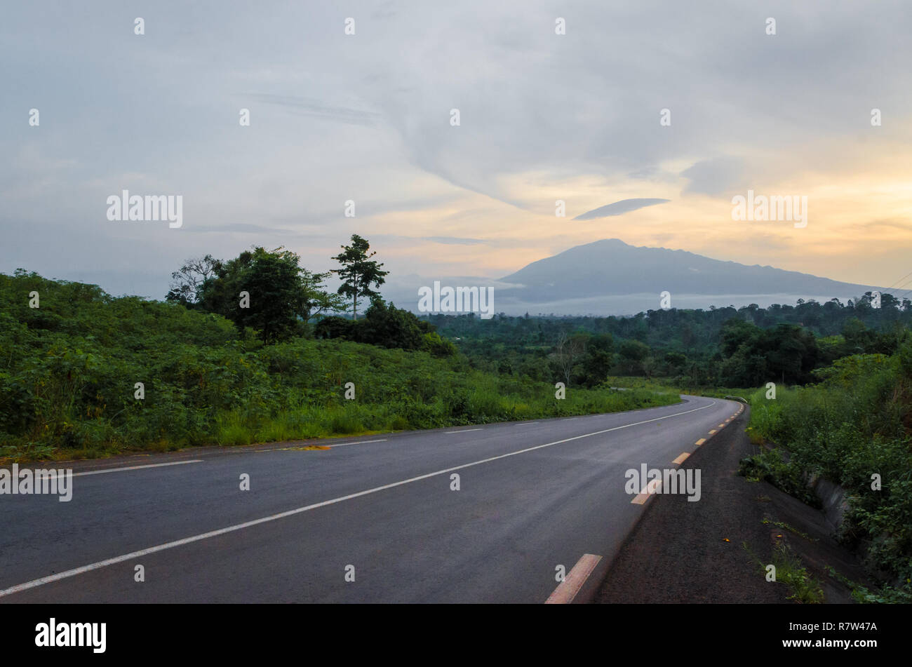 Scenic view of Mount Cameroon mountain with green forest during sunset, highest mountain in West Africa, Cameroon, Africa. Stock Photo