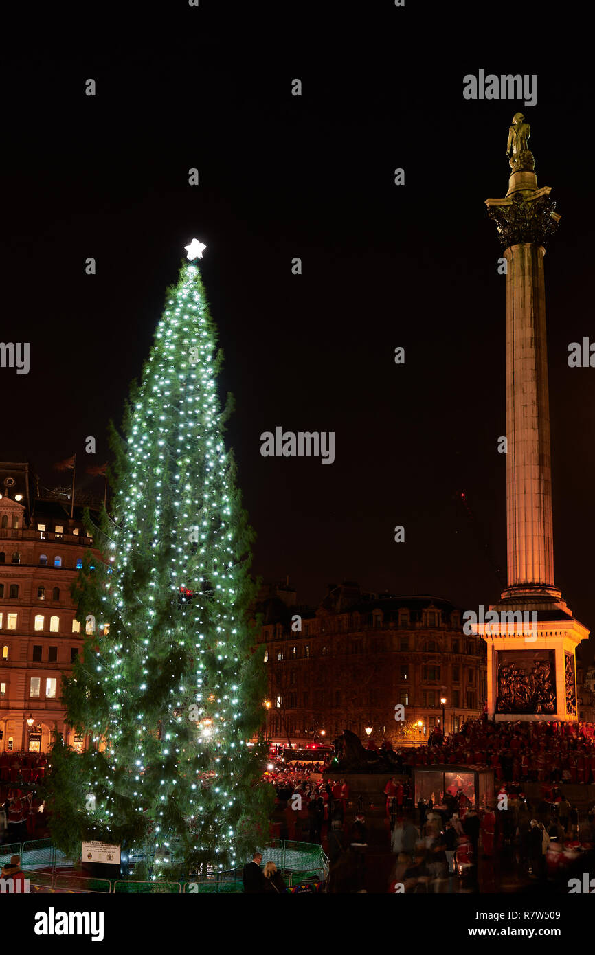 Nelson's column in Trafalgar Square, London, England, at nightime, with a swaing Norwegian christmas tree in front of it. Stock Photo
