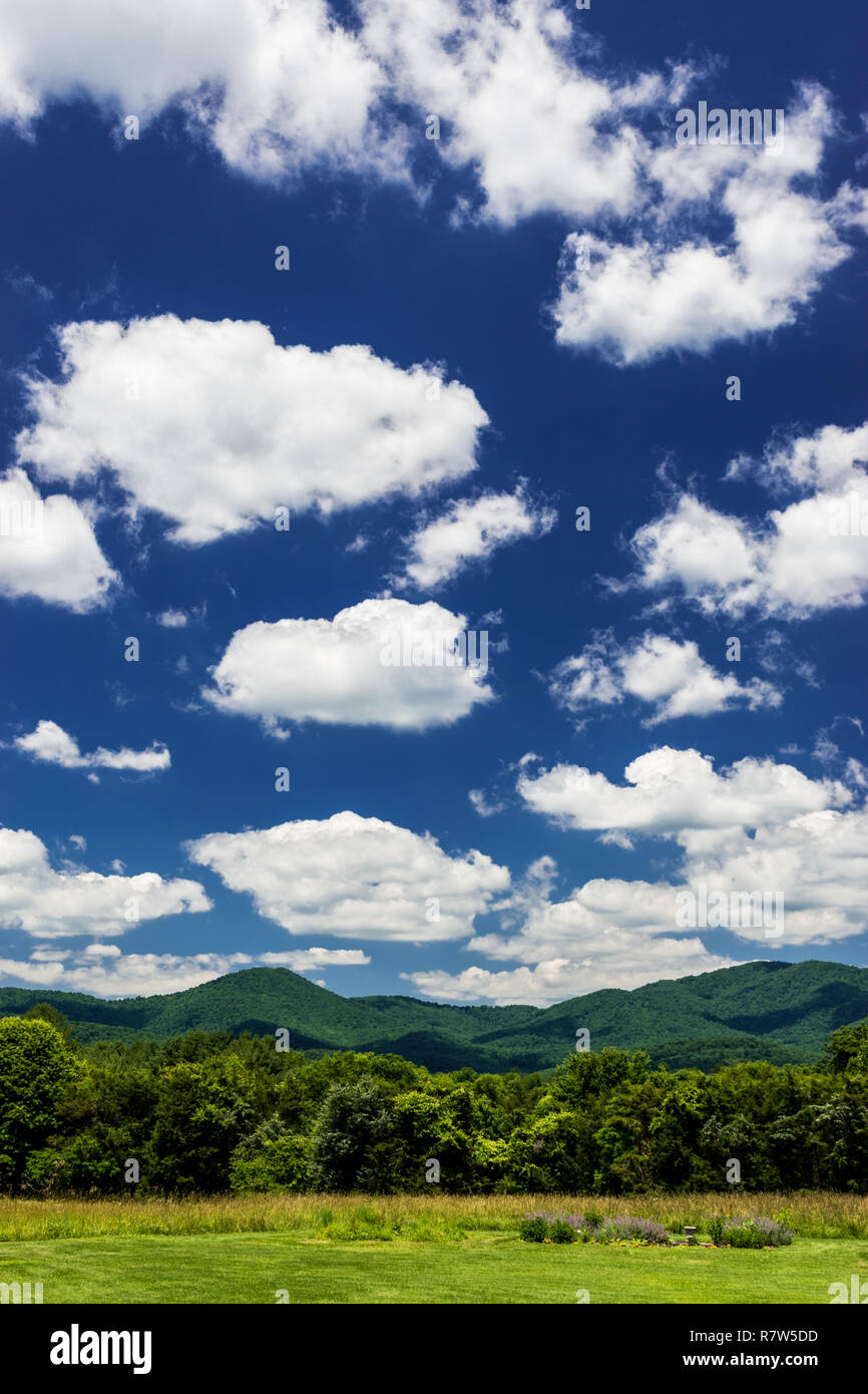 Beautiful landscape with fluffy clouds and blue sky above lush green ...