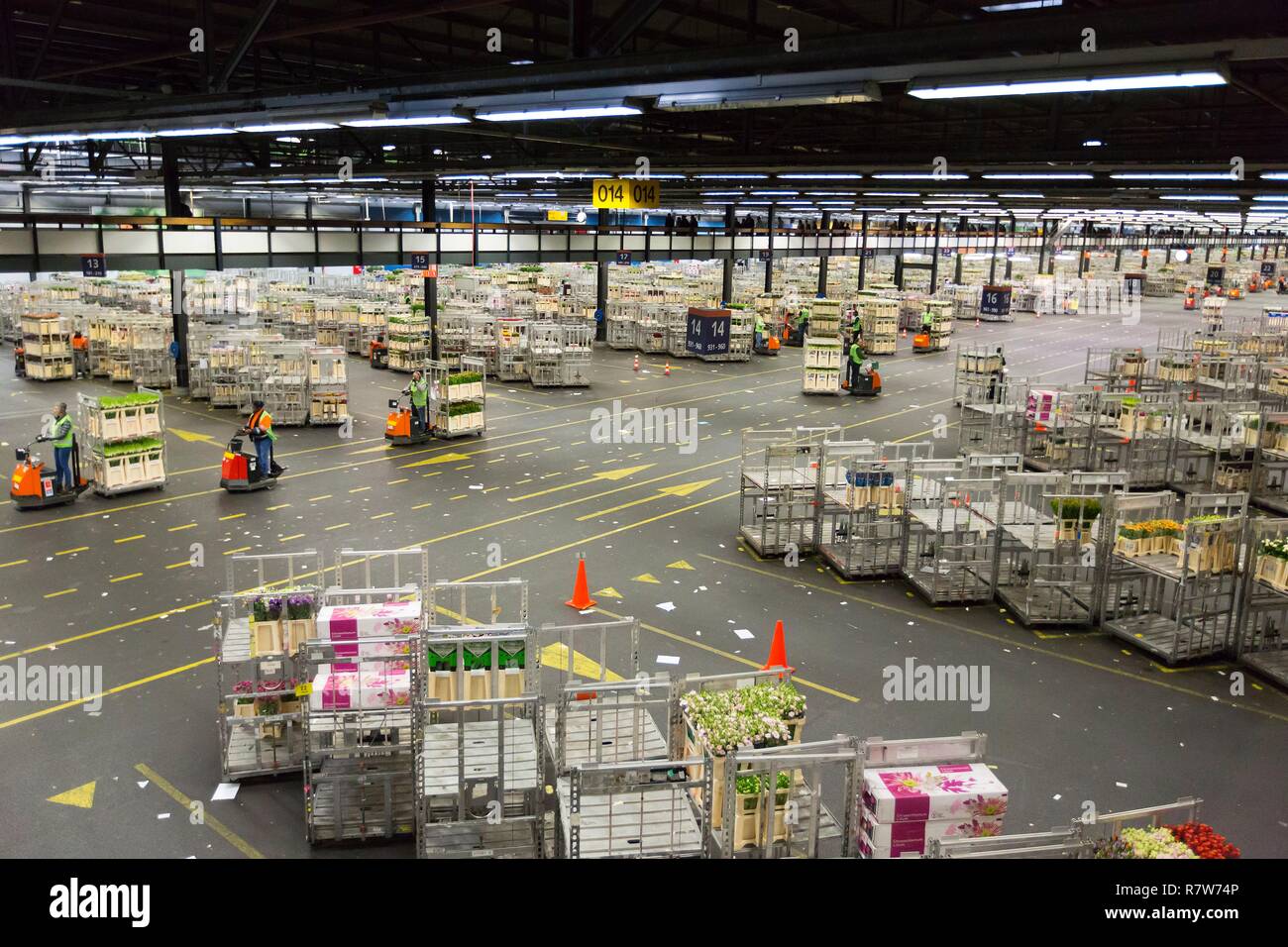 Netherlands, Northern Holland province, Aalsmeer, the flower stock exchange market, largest wholesale flower market of the world (Bloemenveiling) Stock Photo