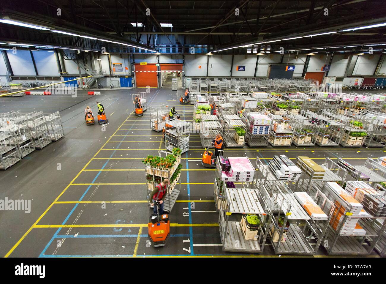 Netherlands, Northern Holland province, Aalsmeer, the flower stock exchange market, largest