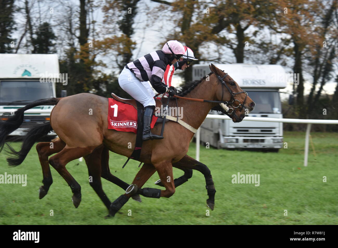 point-to-point-meeting-at-cottenham-stock-photo-alamy