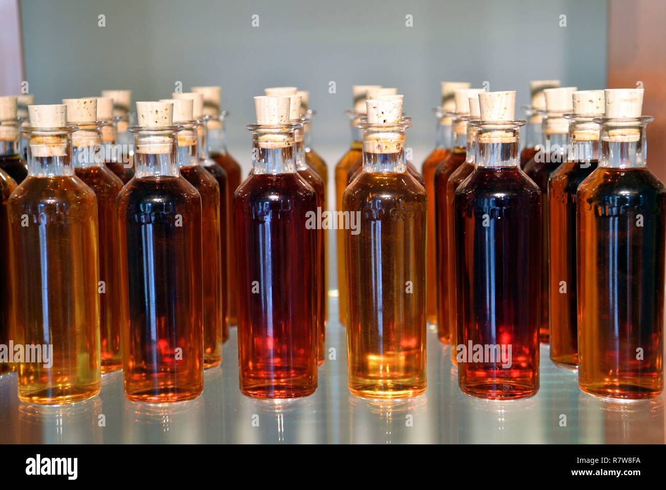 France, Charente, Cognac, Hennessy cognac house, bottles prepared for tasting Stock Photo