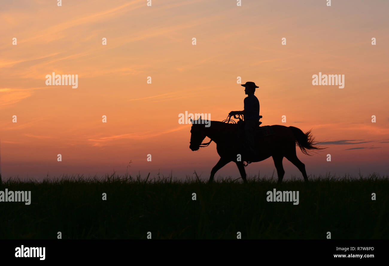 Cowboy in hat riding horse on colorful cloudy sky at sunset. Silhouette of  cowboy travel in wild west mountain like western film background. Stock Photo