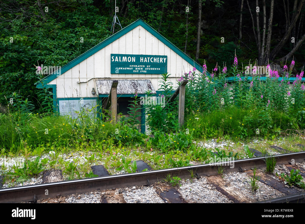 Salmon hatchery, Skagway, Alaska, Klondike Gold Rush National
