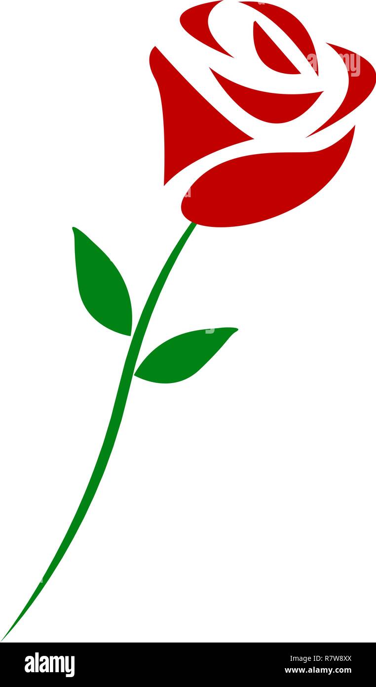 Vector branch of red roses isolated on a white background. eps10 Stock ...
