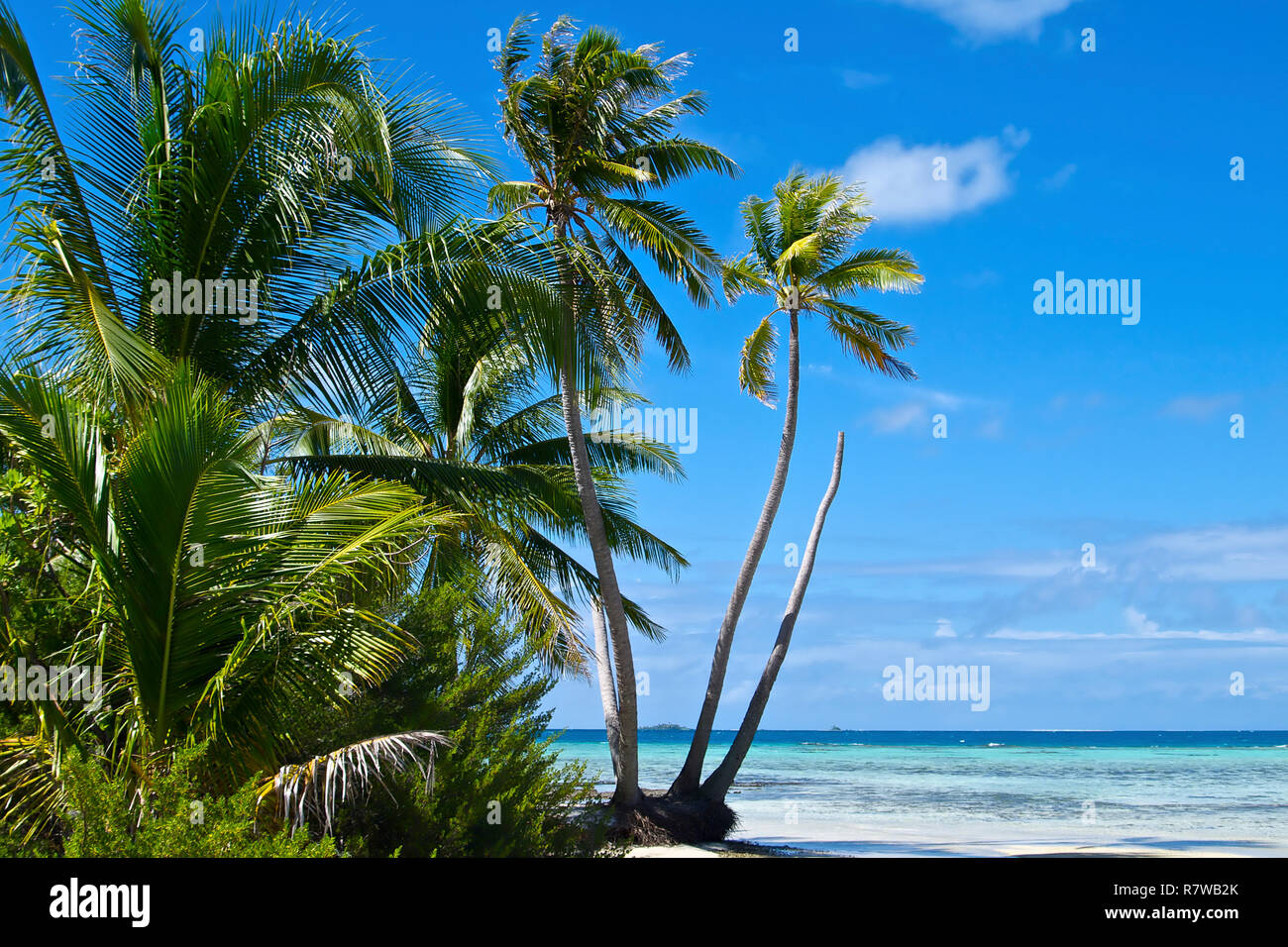 Blue lagoon on Rangiroa atoll Stock Photo - Alamy