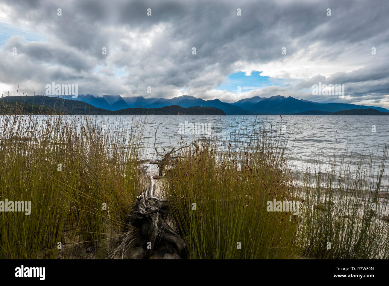 Manapouri cicle trek. Lake lookout Stock Photo