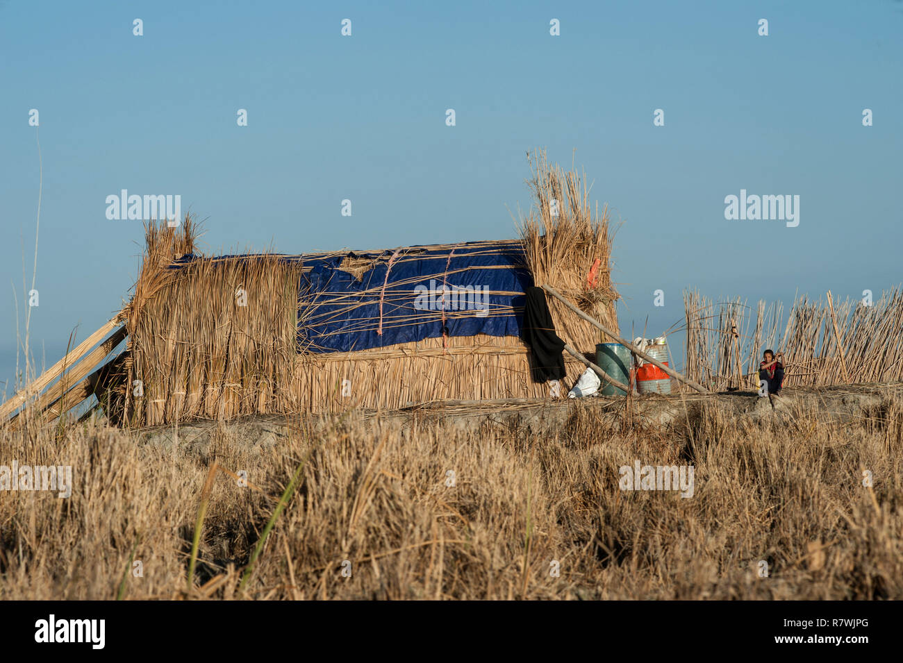 November 7, 2018 - Al-Chibayish, Marshes of Southern Iraq, Iraq - Traditional reed house seen in the Hamar Marsh of the Southern wetlands of Iraq.Climate change, dam building in Turkey and internal water mismanagement are the main causes of a severe drought in the southern wetlands of Iraq. Credit: John Wreford/SOPA Images/ZUMA Wire/Alamy Live News Stock Photo