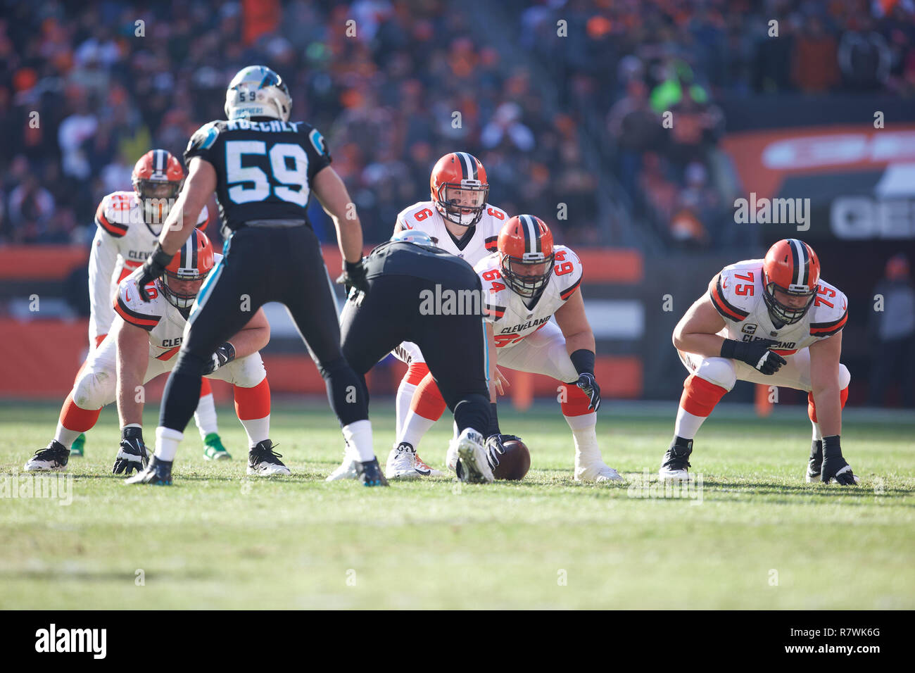 Cleveland browns carolina panthers hi-res stock photography and images -  Page 4 - Alamy