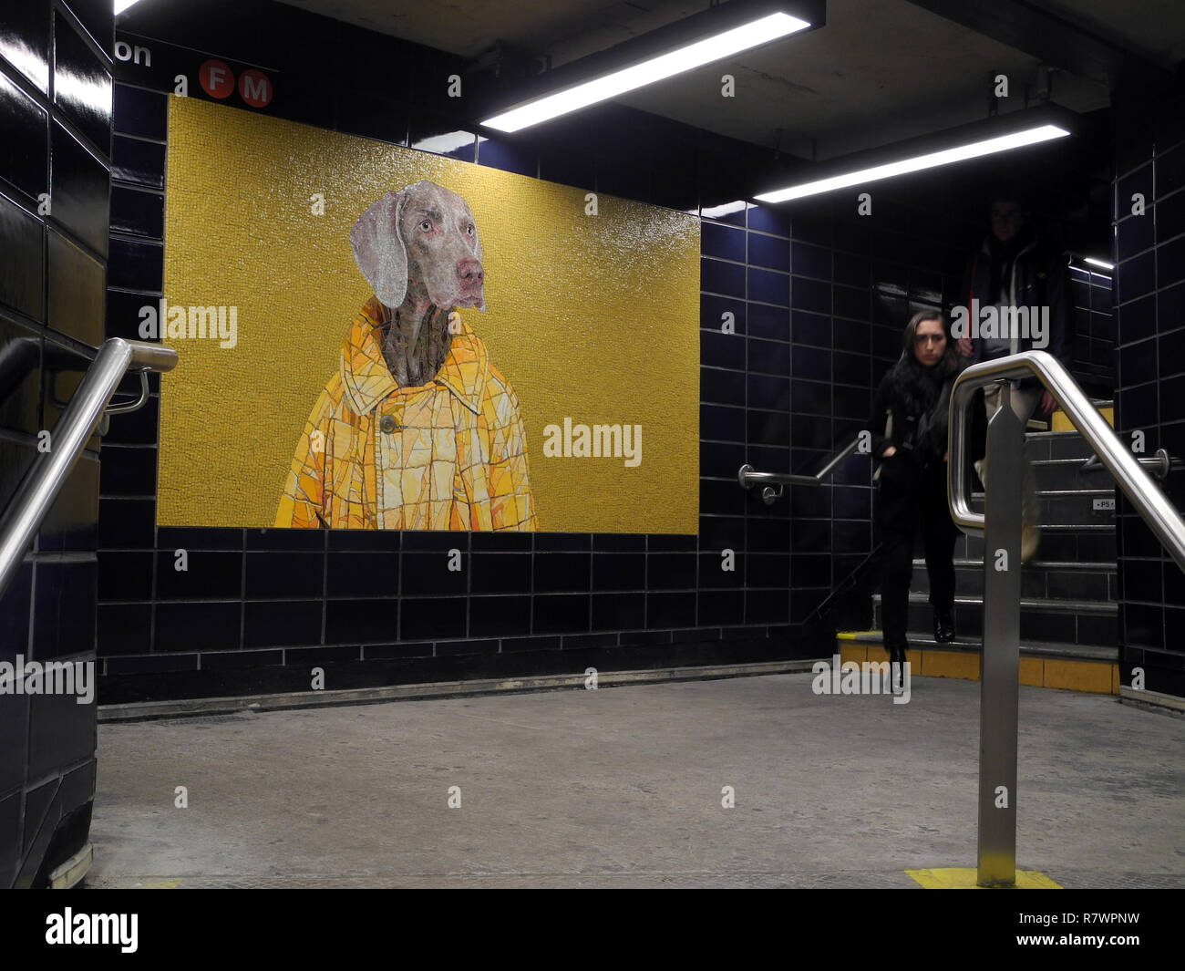 New York, USA. 10th Dec, 2018. A mosaic at 23rd Street underground station shows a work by the artist William Wegman, who regularly photographs his Weimaraner dogs and partly disguises them. (to dpa message: "Waiting dogs: Weimaraner decorate subway station in New York" from 12.12.2018) Credit: Johannes Schmitt-Tegge/dpa/Alamy Live News Stock Photo