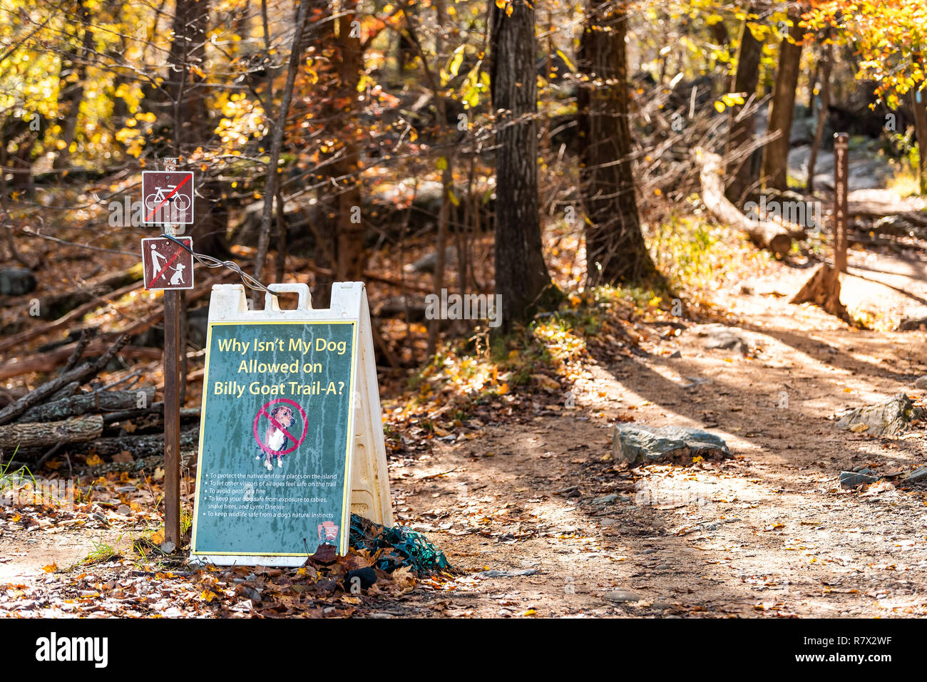 Great Falls, USA - October 31, 2018: Autumn landscape in Maryland, colorful yellow orange leaves foliage and sign for famous Billy Goat Trail Stock Photo