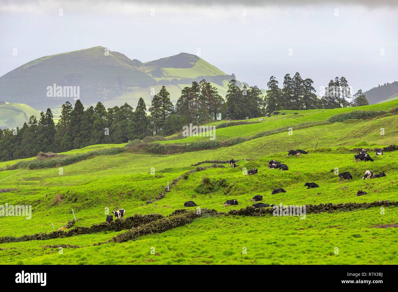 Portugal, Azores Archipelago, Sao Miguel Island, Miradouro do Pico do Carvao Stock Photo