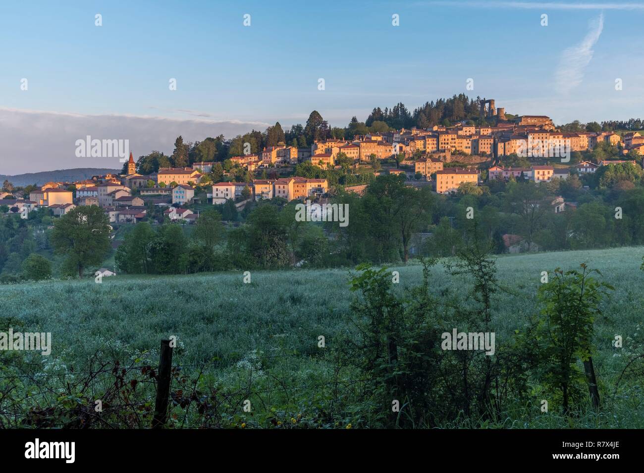 Potence High Resolution Stock Photography And Images Alamy