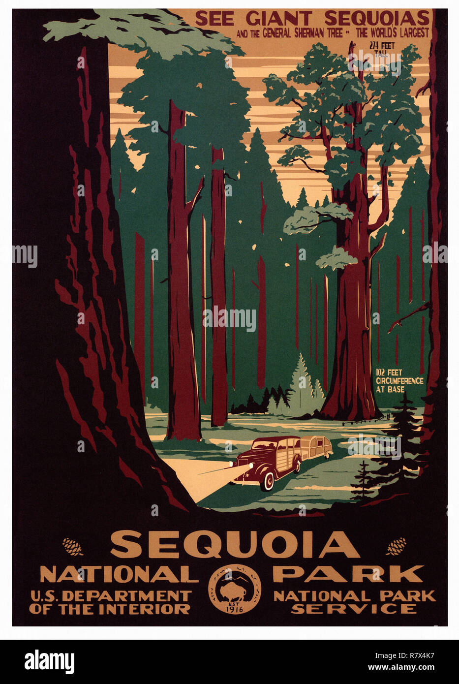 Redwood National Park California United States Travel Advertisement Art Poster