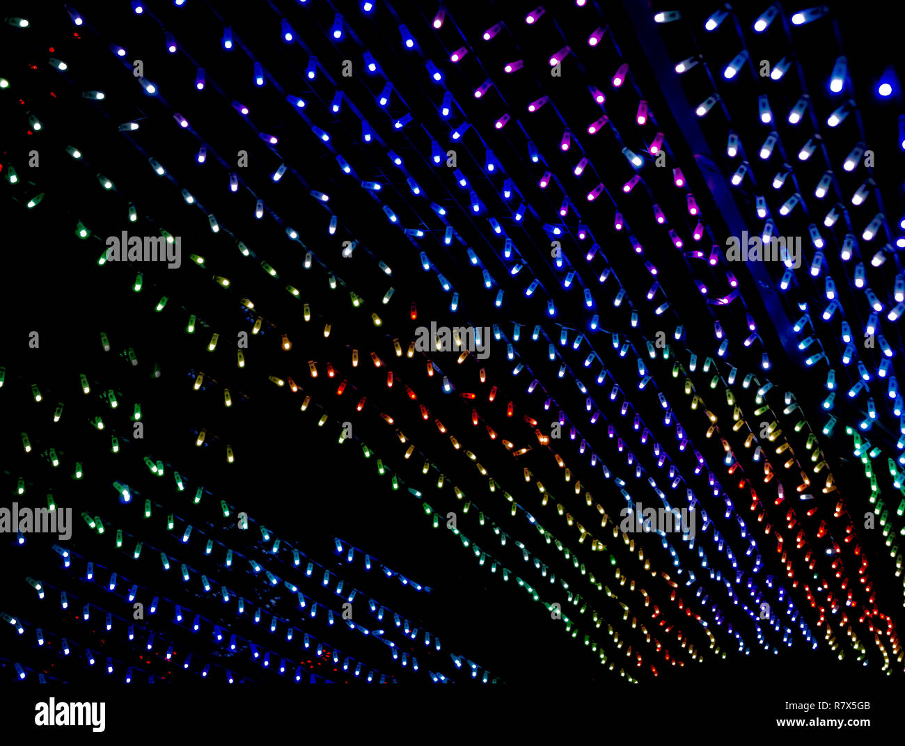 Zoolights Calgary Alberta Canada Stock Photo Alamy