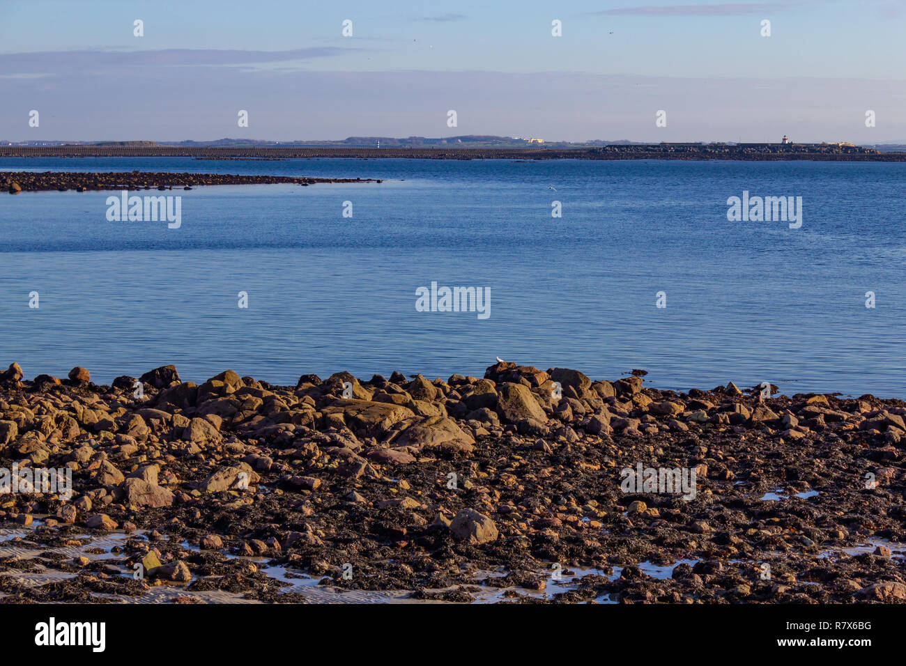Rocks and sand at Salt hill beach, Galway, Ireland Stock Photo Alamy