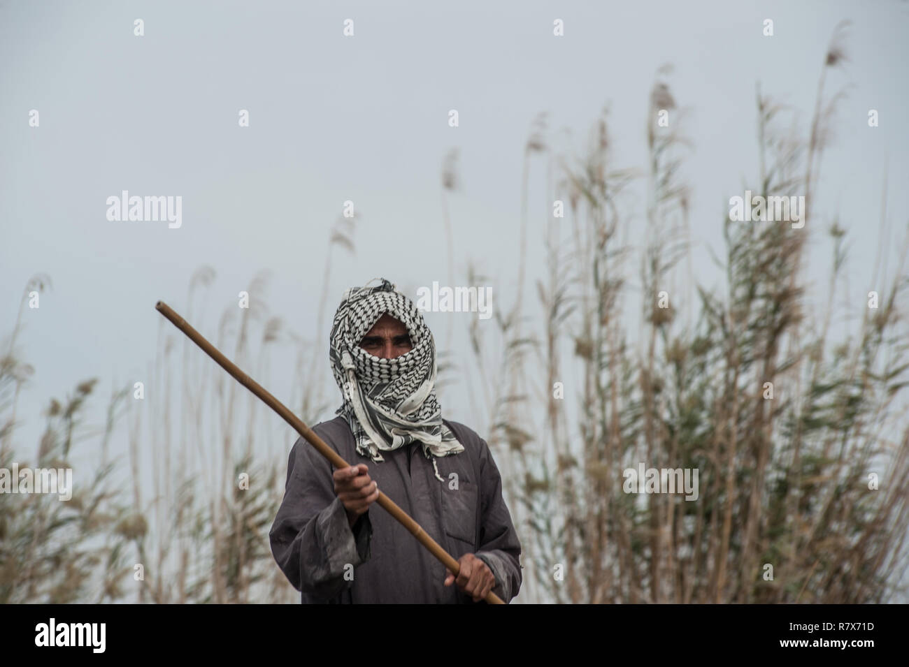 A Marsh Arab fishermen seen in the Central Marshes of Southern Iraq. Climate change, dam building in Turkey and internal water mismanagement are the main causes of a severe drought in the southern wetlands of Iraq. Stock Photo