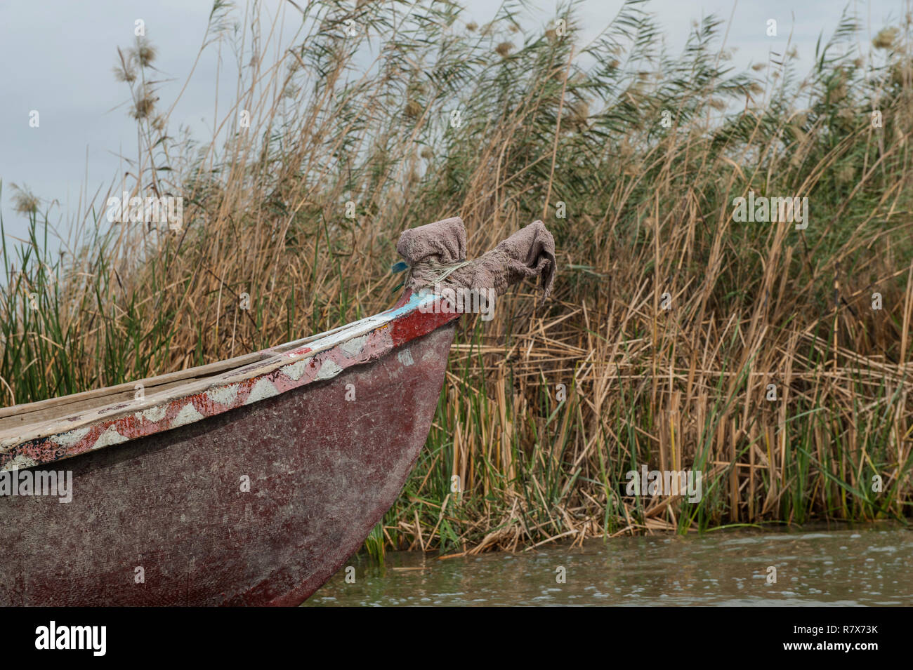 The prow of a traditional Marsh Arab boat seen in the Central Marshes of Southern Iraq. Climate change, dam building in Turkey and internal water mismanagement are the main causes of a severe drought in the southern wetlands of Iraq. Stock Photo
