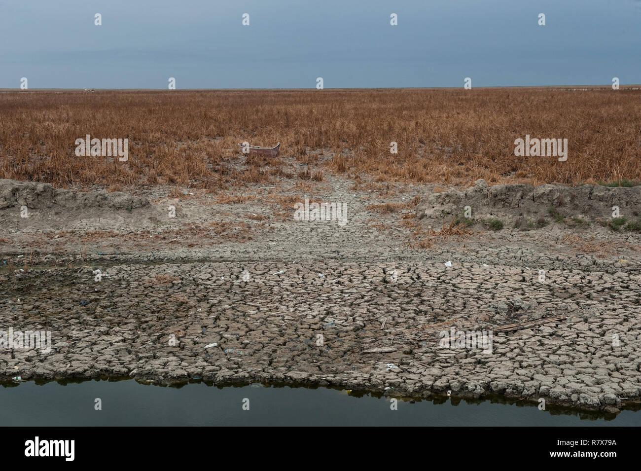 View of dry and cracked Marsh in the Central Marshes of Southern Iraq. Climate change, dam building in Turkey and internal water mismanagement are the main causes of a severe drought in the southern wetlands of Iraq. Stock Photo