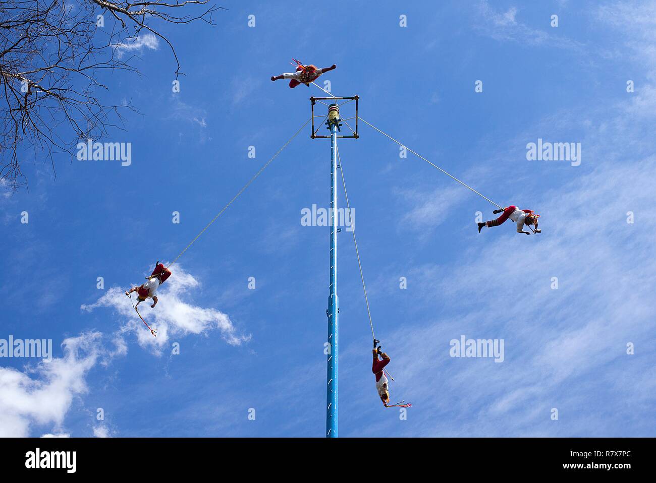 Mexico, Mexico City, Volador dance, Mesoamerican Mexican ritual ceremony, composing a dance and climbing a 30-meter pole from which four of the five participants tie their legs to front ropes to let go in the void by turning and descending gradually to the ground. The fifth stays above the mast, dancing and playing the flute and the drum Stock Photo