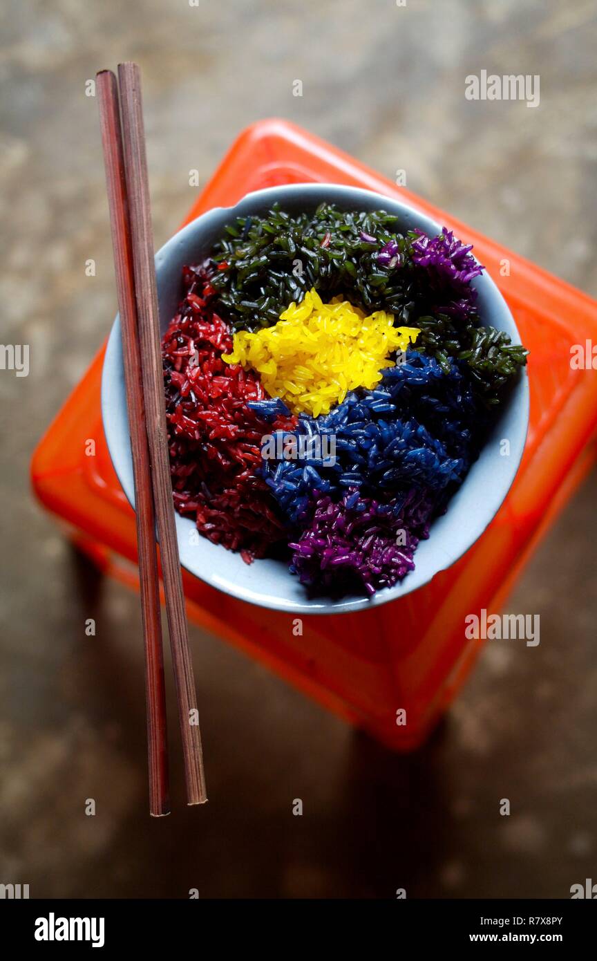Vietnam, Lao Cai province, Sapa district, 7 colors rice in Muong Khuong village Stock Photo