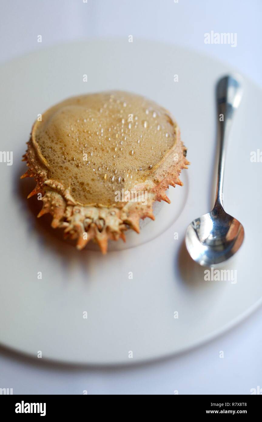 France, Rhone, Lyon, restaurant Mere Brazier of chef Mathieu Viannay, broth of sea spider Stock Photo