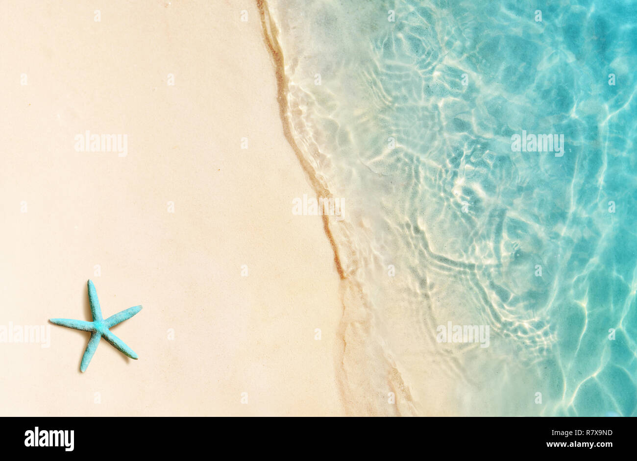 Single shell on sand hi-res stock photography and images - Alamy