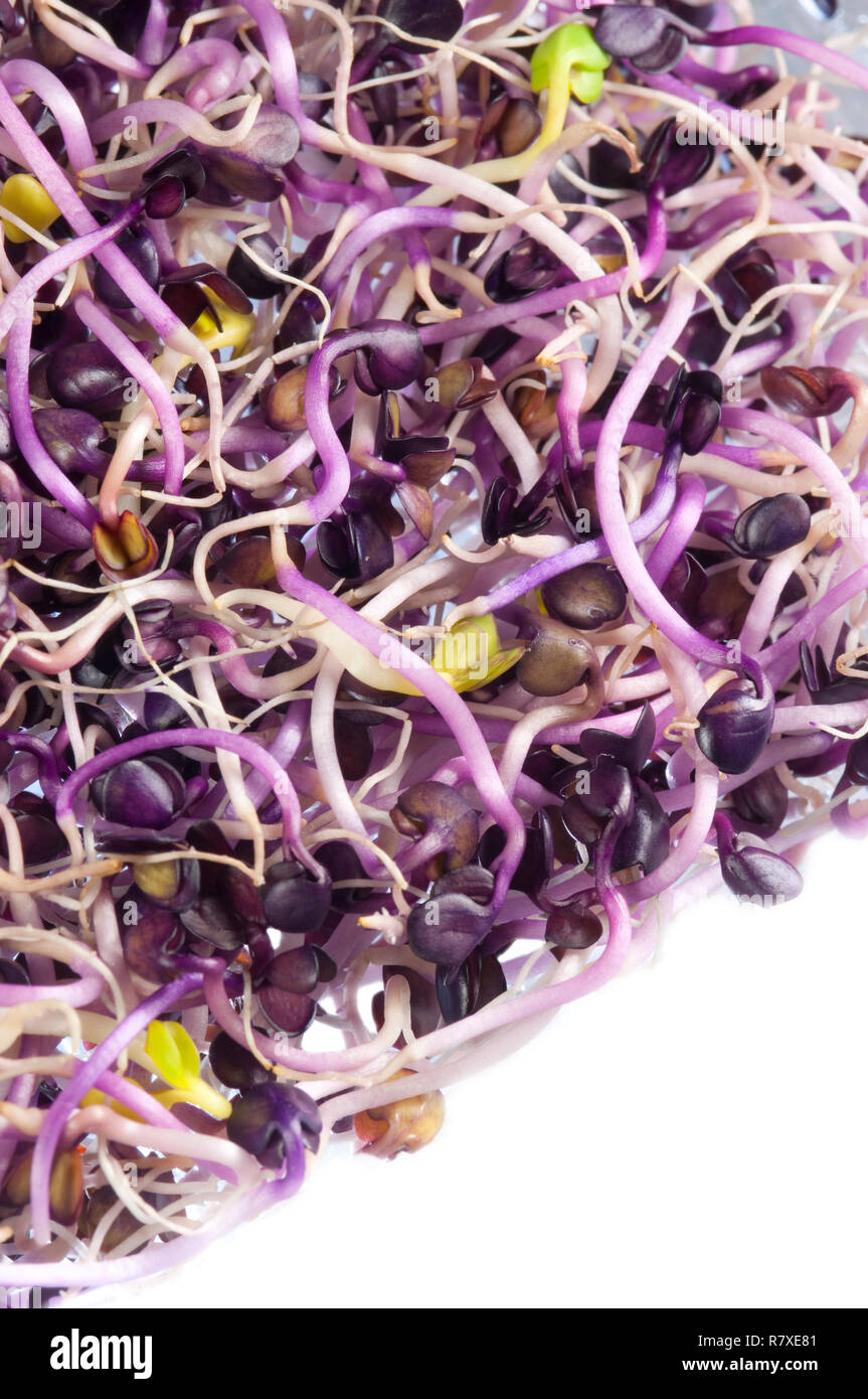 Calorie rich foods hires stock photography and images Alamy